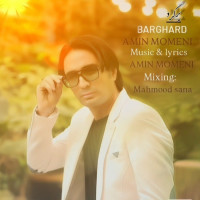 Amin Momeni - Bargard
