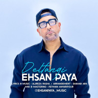 Ehsan Paya - Deltangi