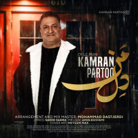 Kamran Partoo - Dele Man