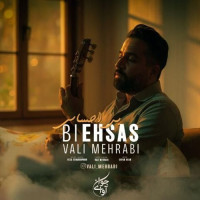 Vali Mehrabi - Bi Ehsas