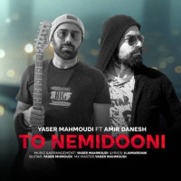 Yaser Mahmoudi Ft Amir Danesh - To Nemidooni