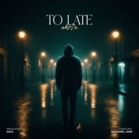 Amirsa - Too Late