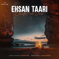 Ehsan Taari - Ghargh Mishe Delam