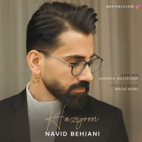 Navid Behjani - Hazyoon
