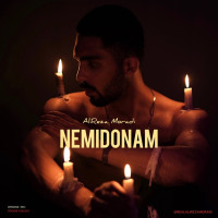 Alireza Moradi - Nemidonam