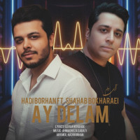 Hadi Borhan Ft Shahab Bokharaei - Ay Delam