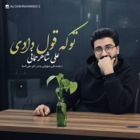 Ali Shahrahmani - To Ke Ghol Dadi