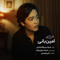 Amin Bani - Vaghti Ashegh Shavi