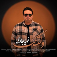 Navid Sajadi - Deltang