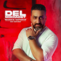 Behrouz Vafamehr - Del Mikhadet
