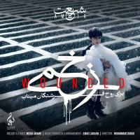 Amir Shariat - Zakhmi