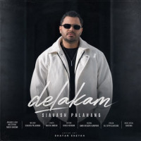 Siavash Palahang - Delakam