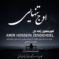 Amirhossein Zendedel - Oje Tanhaei