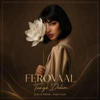 Ferovaal - Tange Delam