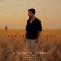 Farzad Beigi - Ghalbamo Bardar