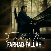 Farhad Fallahi - Fereshteye Nazam