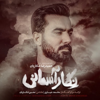 Hamidreza Shekarian - Negare Asemaani