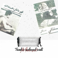 Mahdi Mansel - Tanha Nabood Vali