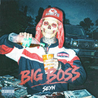 Seyn - Big Boss