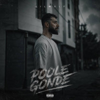 Silwolf - Poole Gonde