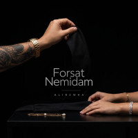 Alirzwha - Forsat Nemidam
