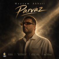 Meysam Akbari - Parvaz