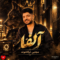 Mojtaba Torkashvand - Alpha