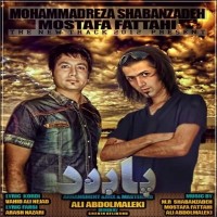 Mohammadreza Shabanzadeh & Mostafa Fattahi - Paband