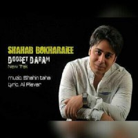Shahab Bokharaei - Dooset Daram