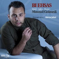Masoud Golzardi - Bi Ehsas
