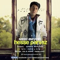 Saeed Asayesh - Hesse Parvaz