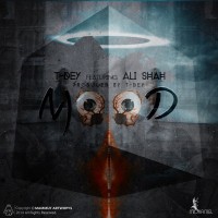 T-Dey Ft Ali Shah - Mood