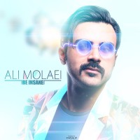 Ali Molaei - Divoone Sho