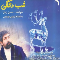 Hossein Zaman - Shabe Deltangi