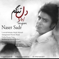 Naser Sadr - Deltangam