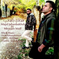 Majid Jahanbakhsh Ft Meysam Wolf - Havaye Barooni