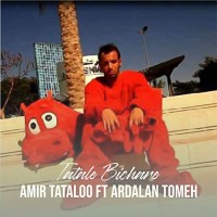 Amir Tataloo Ft Ardalan Tomeh - Tatale Bichare