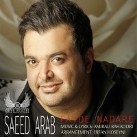 Saeed Arab - Fayde Nadare ( Remix )