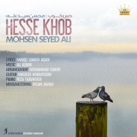 Mohsen Seyed Ali - Hesse Khoob