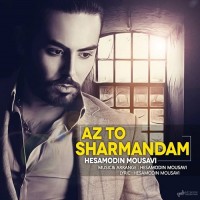 Hesamodin Mousavi - Az To Sharmandam