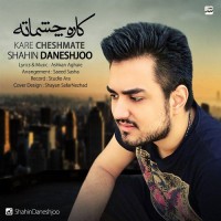 Shahin Daneshjoo - Kare Cheshmate