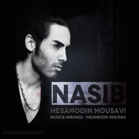 Hesamodin Mousavi - Nasib