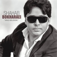 Shahab Bokharaei - Gole Goldoon