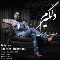 Mohsen Dehghani - Delgiram