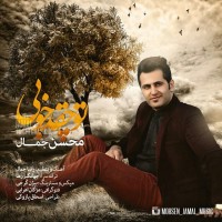 Mohsen Jamal - To Cheghadr Khoobi