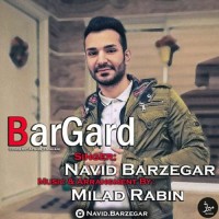 Navid Barzegar - Bargard