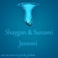 Amir Shaygan Ft Sunami - Javooni
