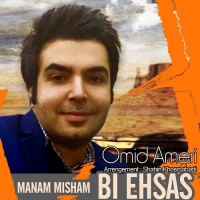 Omid Ameri - Bi Ehsas