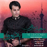 Saeed Mobarhan - Ye Divooneh