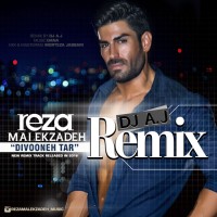 Reza Malekzadeh - Divoonetar ( Remix )